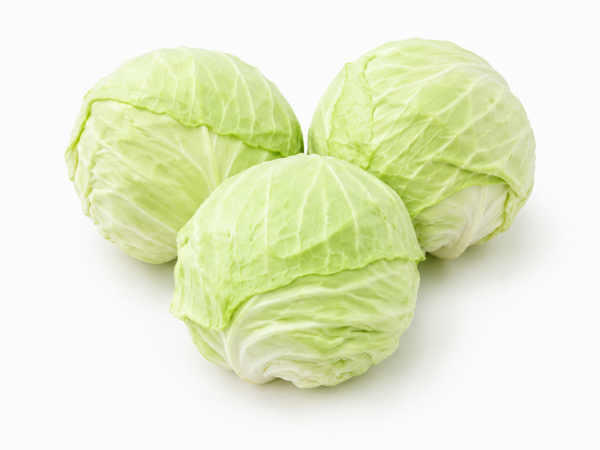 China Cabbage